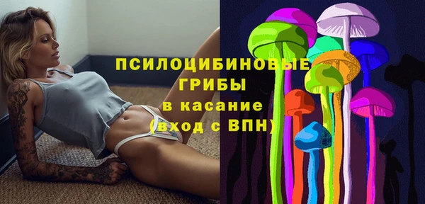 прущие крисы Богородицк